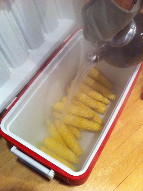 Cook large quantities of corn in a cooler by pouring boiling water over them. #summer #bbq #hacks